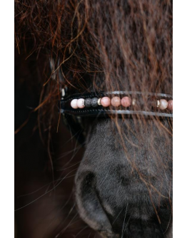 Topreiter Orka Nosgrimma, Rosa