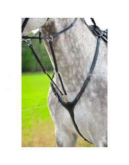 Lippo förbygel Fazzino