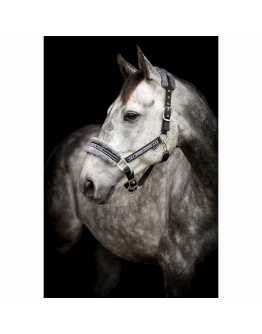 Grimma Horse Unique