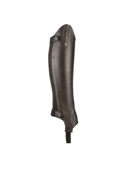 MORETTA SHORTCHAPS, Brun