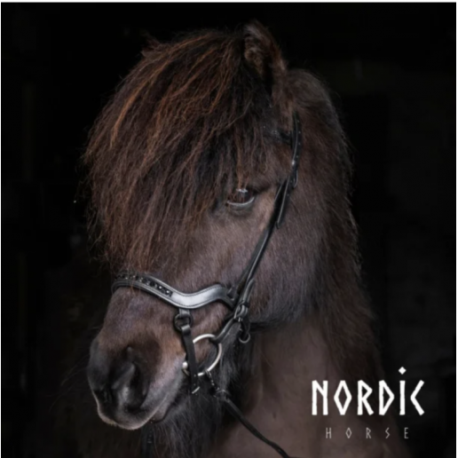 Anatomisk nosgrimma color mix, Svart med svarta spännen