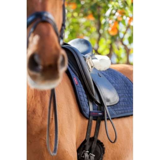 Lemieux Sensitive Square dressyr blå