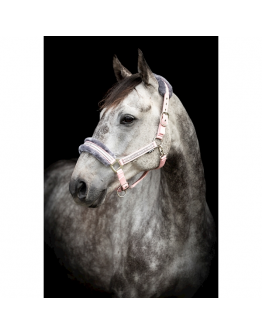 Grimma Horse Unique