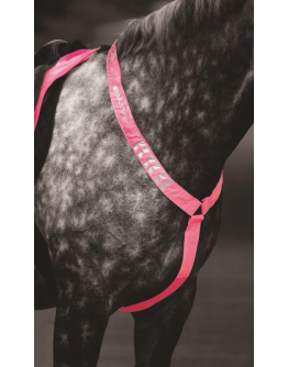 EQUI-FLECTOR® Reflexbrösta, Rosa