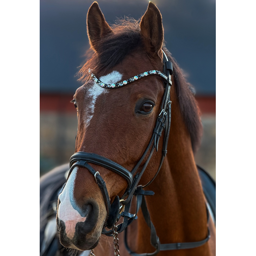 Pannband Stora kristaller 10 mm Jet Black/Grey/Crystal AB mix. EKOLOGISKT LÄDER