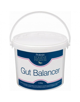 Protexin Equine Premium Gut Balancer Häst