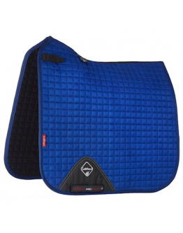 Lemieux Dressyr benetton