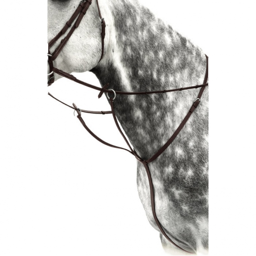 Martingal Basic "Lippo"