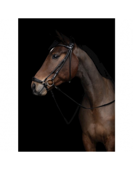 Utzon träns remont svart/silver lack