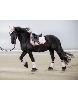 Schabrak Copper Kiss