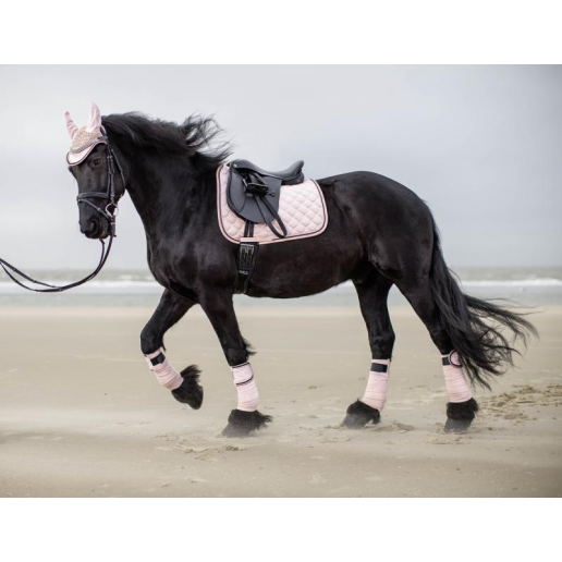 Schabrak Copper Kiss