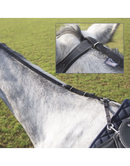 Shires Gräsätartygel