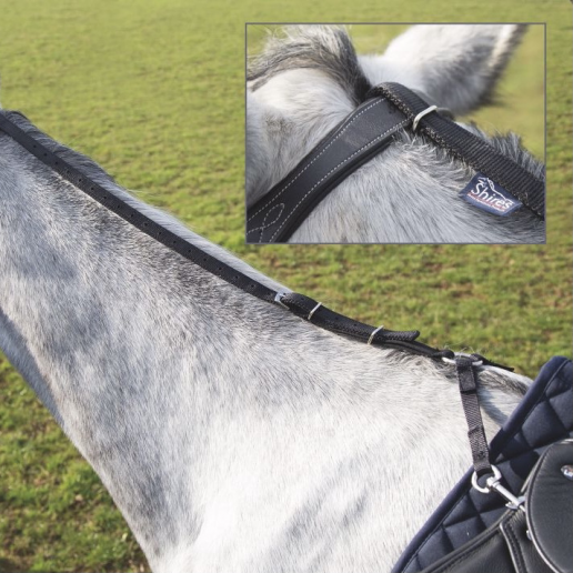 Shires Gräsätartygel