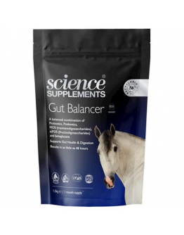 Science Gut Balancer Express - Magtillskott