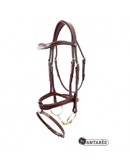 Antares Signature träns med Flash nosegrimma
