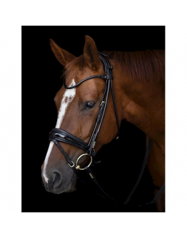 Utzon Edinburg träns svart lack