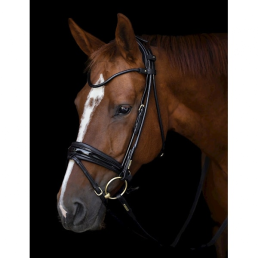 Utzon Edinburg träns svart lack