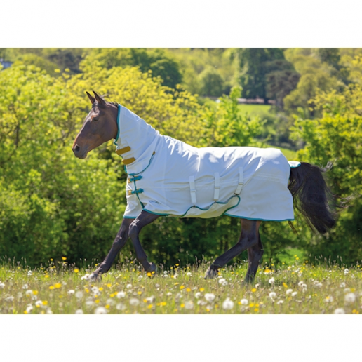 Shires Tempest plus sweet-itch combo