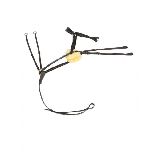 HG 5 punktsförbygel med martingal