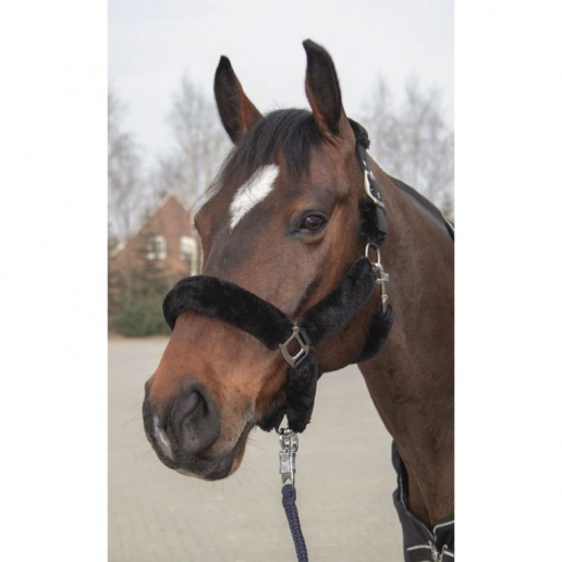 Teddygrimma Well, Svart