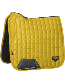 Lemieux Loire Dressyr Dijon