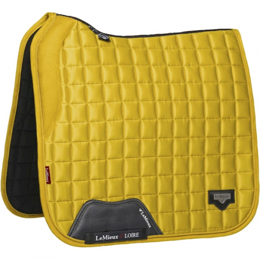 Lemieux Loire Dressyr Dijon