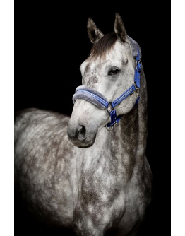 GRIMMA HORSE UNIQUE