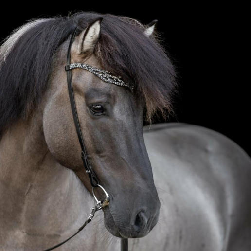 Hrimnir Huvudlag Heritage B Fire & Ice