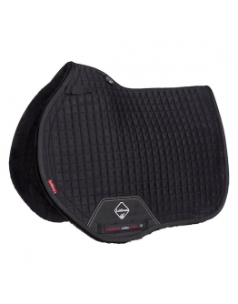 Lemieux Sensitive Square hopp