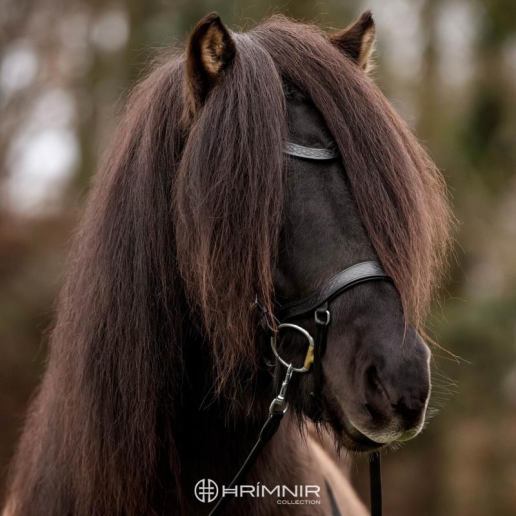 Hrimnir Classic Heritage huvudlag