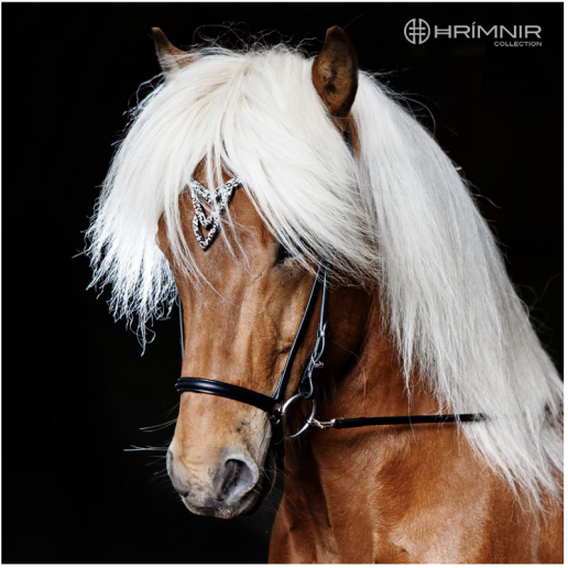 Hrimnir Huvudlag Heritage G - Unity